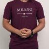 Premium Soft Cotton Regular Fit Men's Casual T-Shirt Black